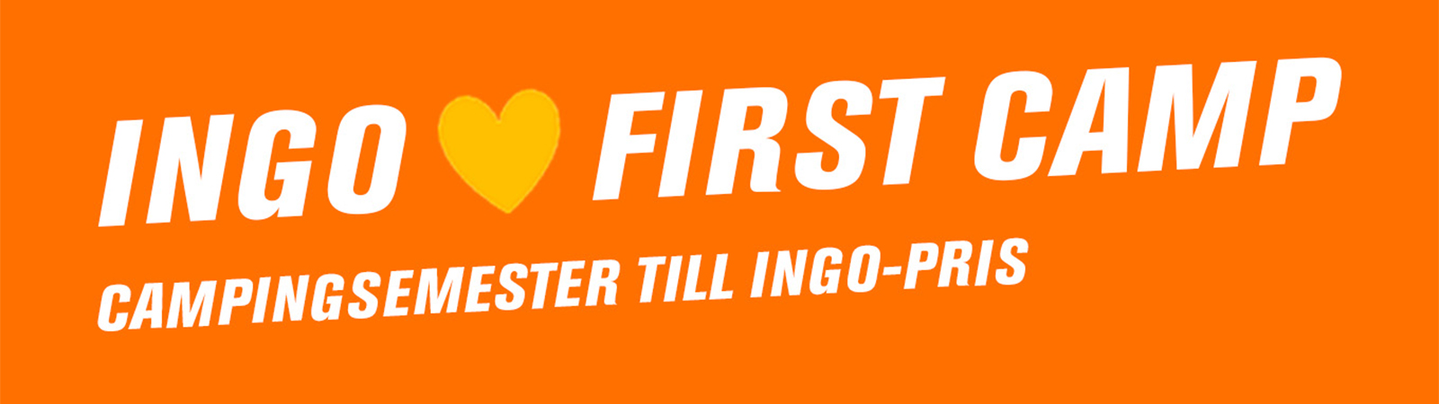 INGO <3 First camp 